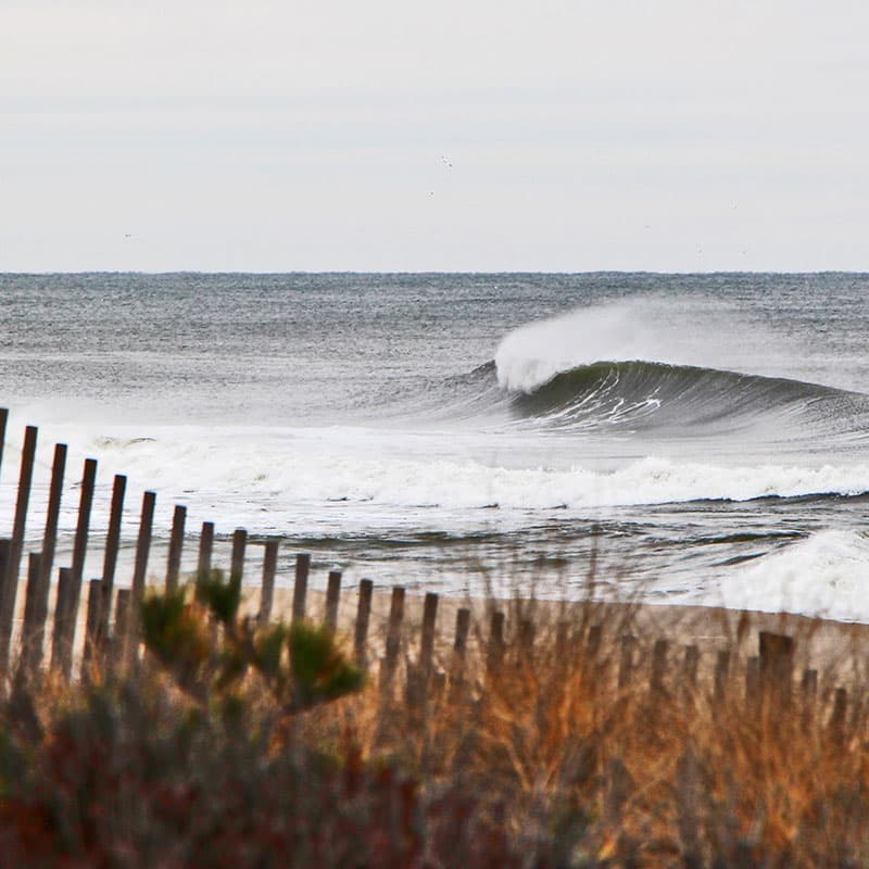 Winter Surf