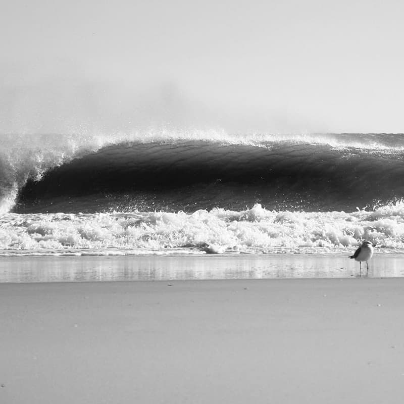 Winter Surf